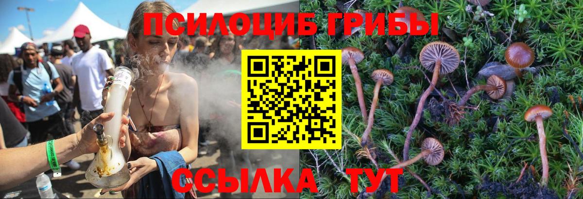 Галлюциногенные грибы Cubensis  Псилоцибиновые грибы Psilocybine cubensis  Мыски  Вход с VPN 